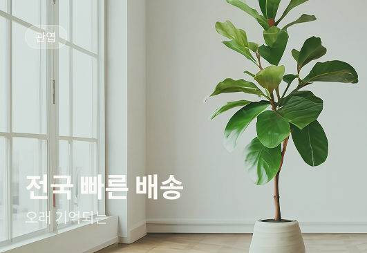 관엽