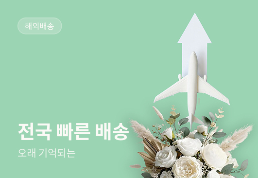해외배송