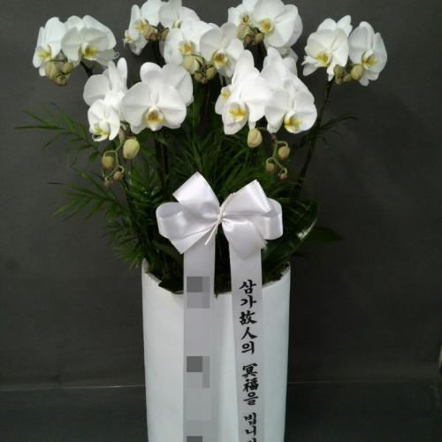 근조난 30호