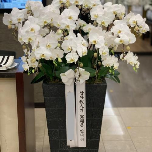근조난 45호