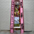 축하쌀10kg